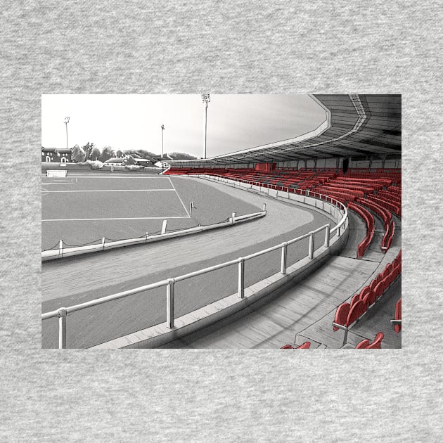 The Ryan McBride Brandywell Stadium - Derry City FC League of Ireland Football Artwork by barrymasterson